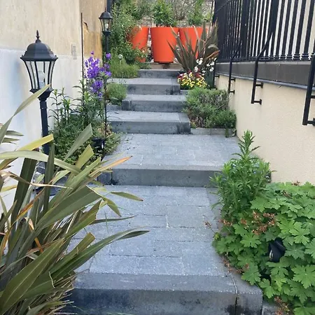 Du Jardin Des Plantes 56 Rue Premartine * Le Mans