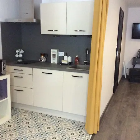 Du Jardin Des Plantes 56 Rue Prémartine * Le Mans