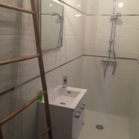 Du Jardin Des Plantes 56 Rue Prémartine * Le Mans