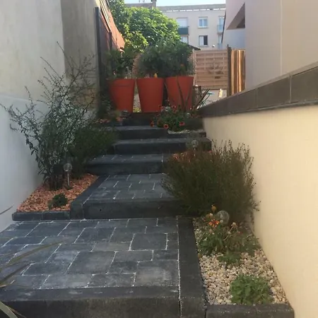 Du Jardin Des Plantes 56 Rue Premartine * Le Mans