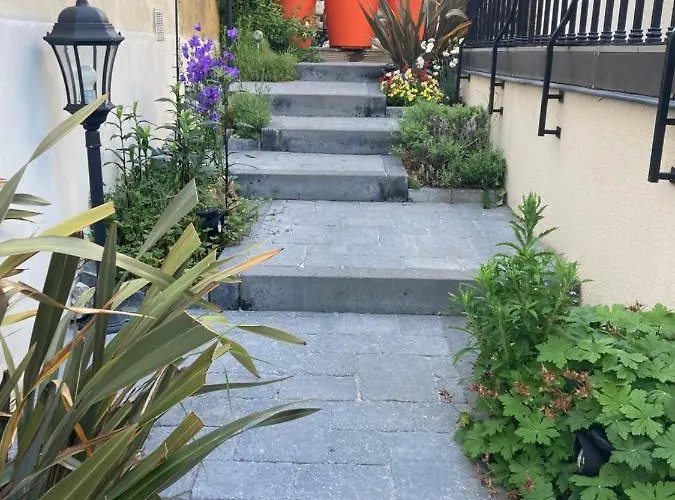 Du Jardin Des Plantes 56 Rue Premartine * Le Mans