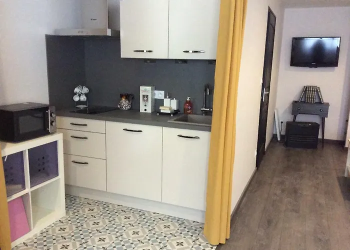 Du Jardin Des Plantes 56 Rue Prémartine * Le Mans