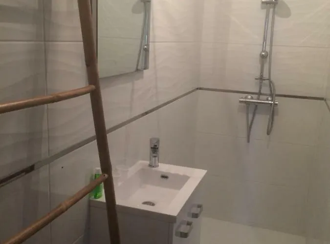 Du Jardin Des Plantes 56 Rue Premartine * 르망