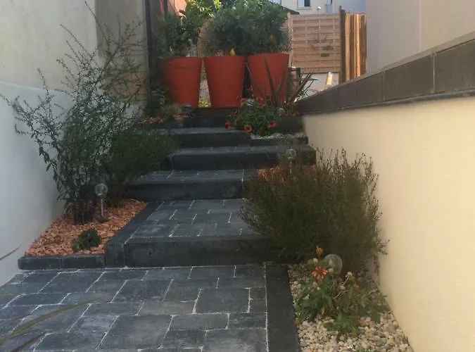 Du Jardin Des Plantes 56 Rue Premartine * Le Mans